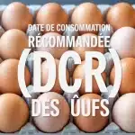 Illustration vectorielle œufs avec Date de Consommation Recommandée DCR des œufs