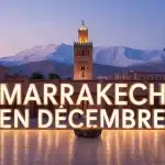 Illustration Marrakech en décembre avec palmiers et Koutoubia