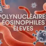 Illustration polynucléaires éosinophiles élevés globules blancs modernes