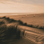 plage du nord herbes dunes coucher de soleil
