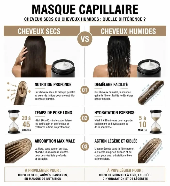 Infographie comparative : appliquer un masque sur cheveux secs ou humides