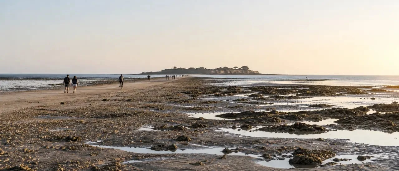 Sortie gratuite en Charente-Maritime : découverte de l’île Madame à marée basse